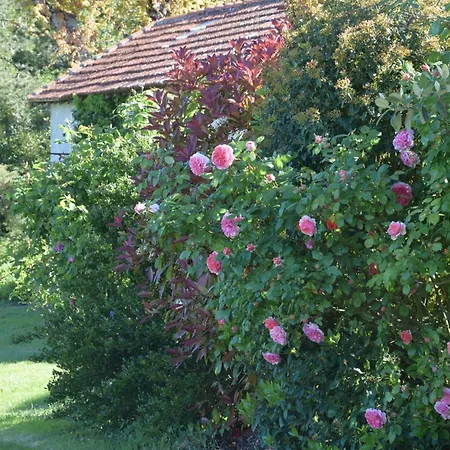 Domaine Chez Maurice * Becheresse