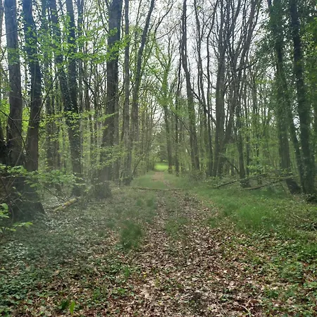 فندق مبيت وإفطار Domaine Chez Maurice