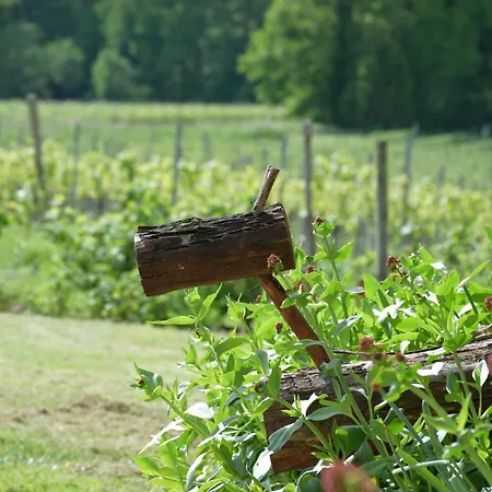 فندق مبيت وإفطار Domaine Chez Maurice