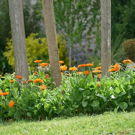 Domaine Chez Maurice